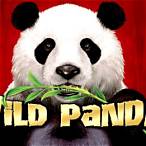 wild giant panda slot